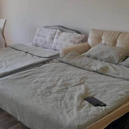 Pliska Apartment モンタナ エクステリア 写真